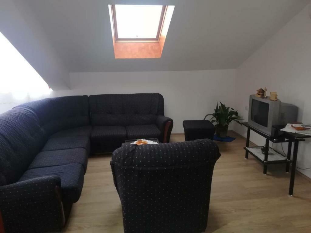 Apartman Ivana Ica Soko Banja Exterior foto